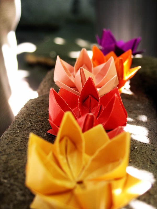 Origami Lotus Flower Tutorial Paper Kawaii