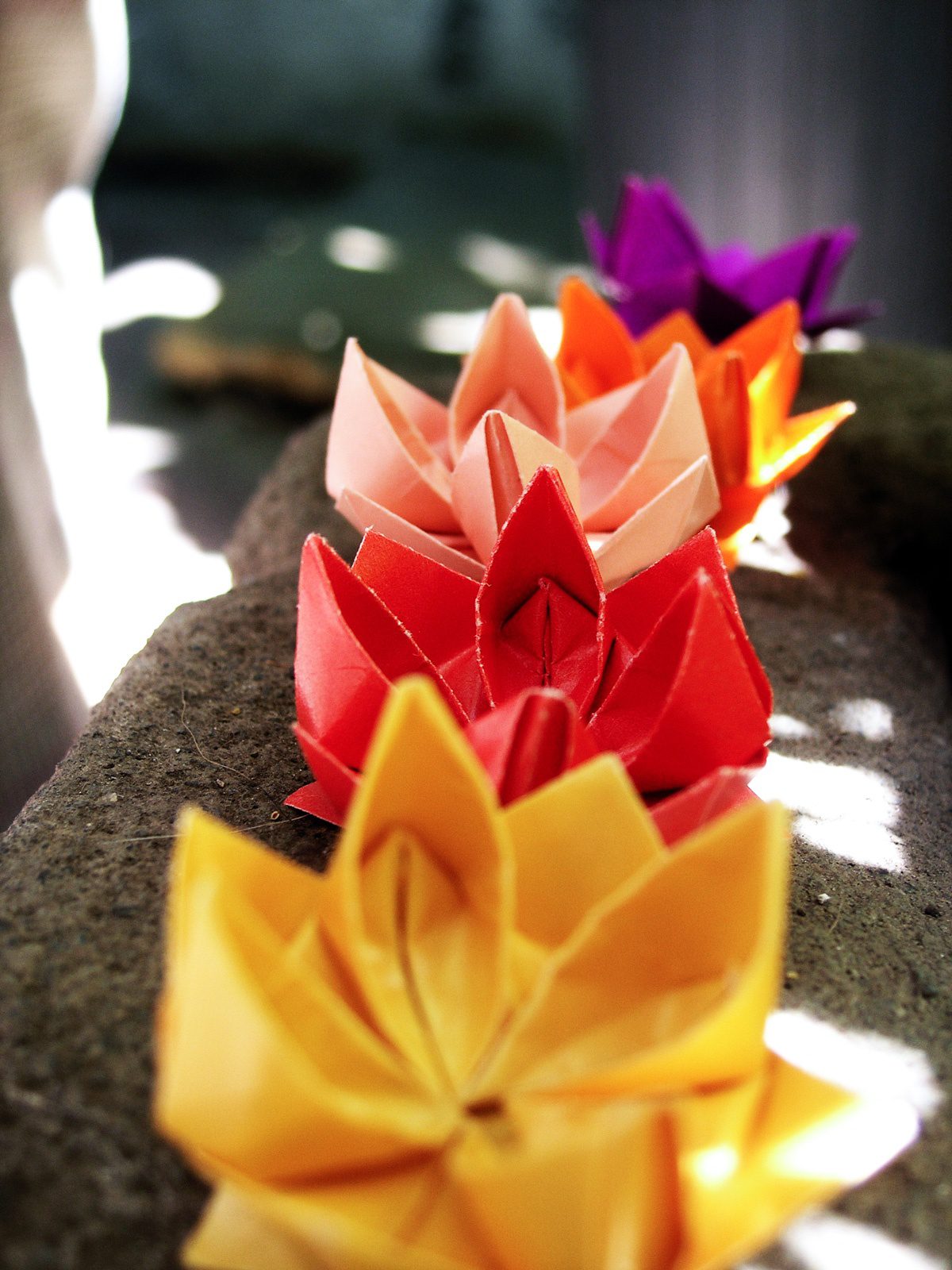 Origami Lotus Flowers By Outinthegarden D1acqgd 1