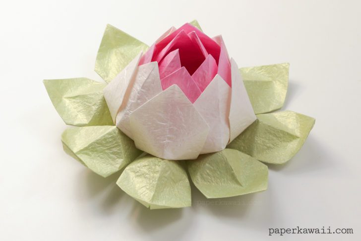Modular Origami Lotus Flower Video Tutorial Paper Kawaii