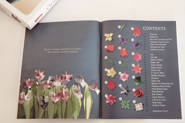origami-flower-lafosse-alexander-book-07