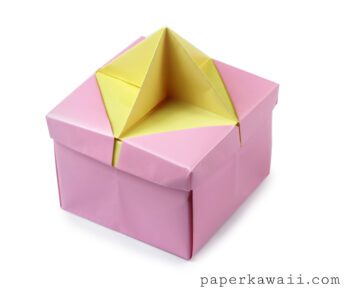 Origami Star Handle Lid Insert2