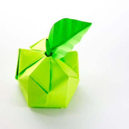 Origami Food