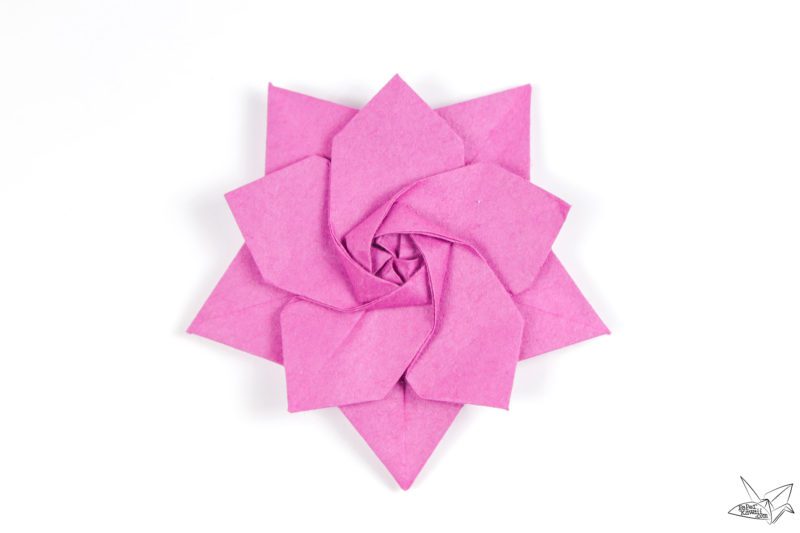 origami-sakura-star