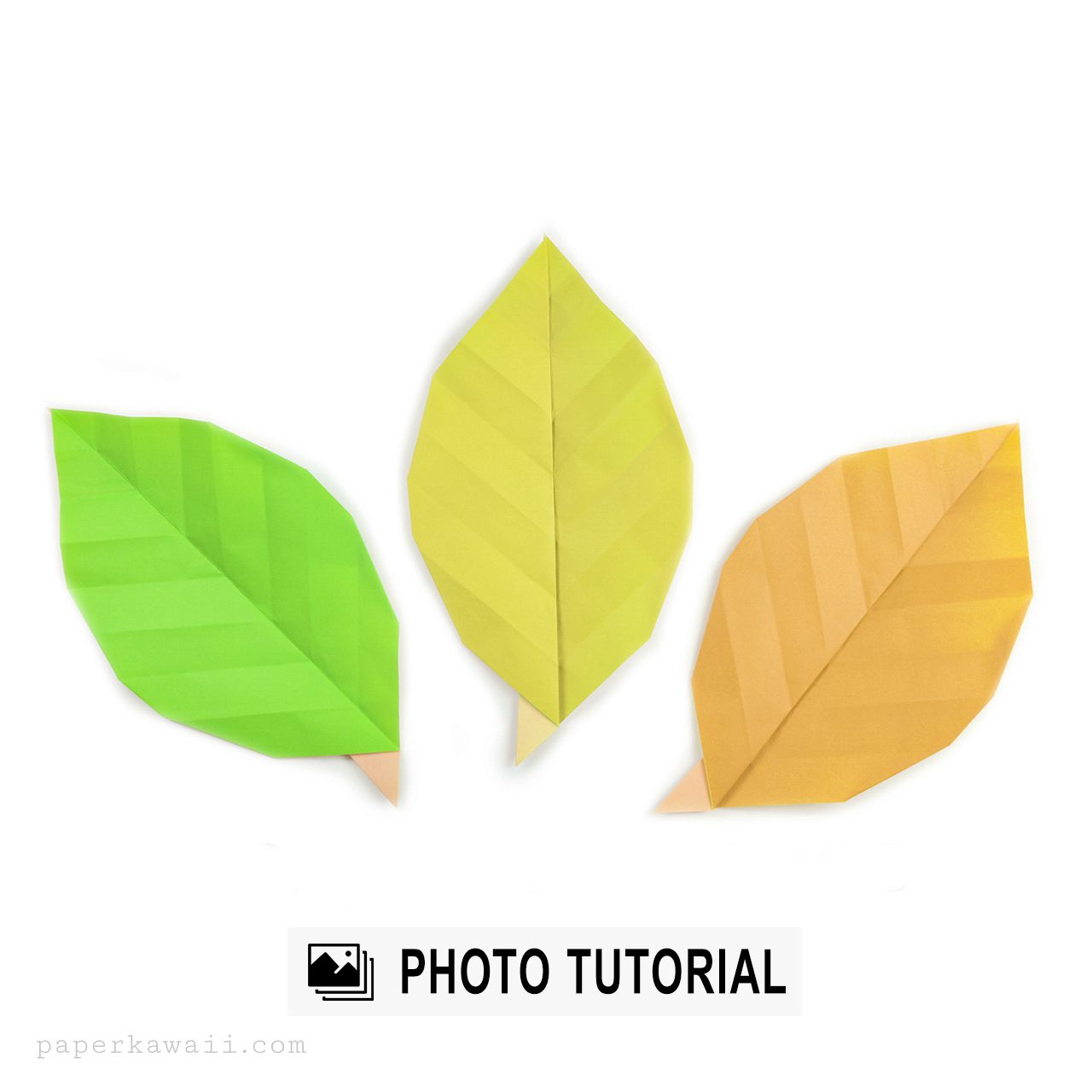 Simple Origami Leaf Photo Tutorial