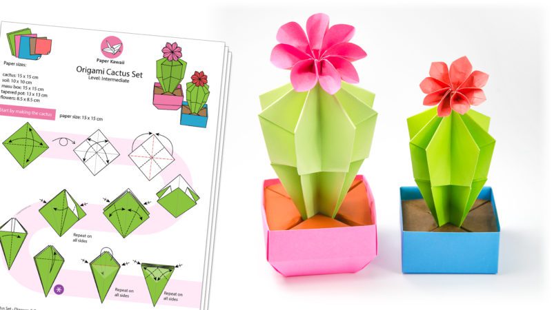 Origami Cactus Diagram Paper Kawaii