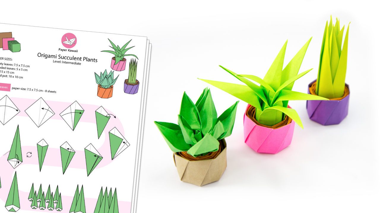 Origami Succulent Plant Diagram Paper Kawaii