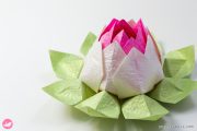 Modular Origami Lotus Tutorial Paper Kawaii 03